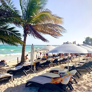 Silversands Boutique - 5th Ave Hotel Playa del Carmen